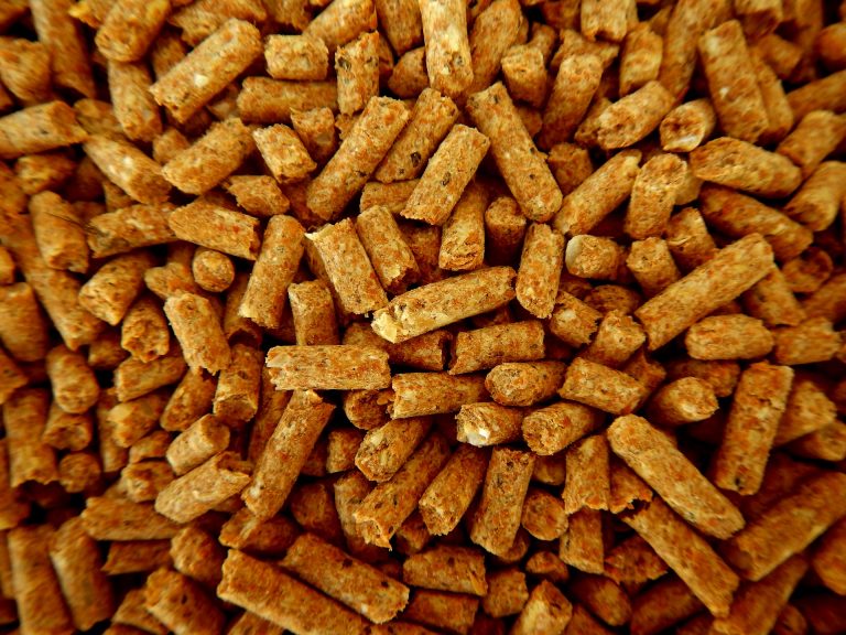 Pellet – ekologiczne paliwo